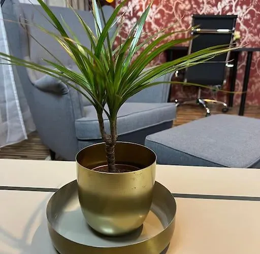 Klimatyczny I Cichy Mokotow